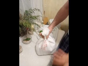 Огурцы в морозилке t -37° часть 4. Дядя Витя. Эксперимент с термоукрывным материалом. termotkan.ru