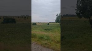 когда идёт дождь 1 сентября 25.mp4