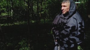 Новая жизнь