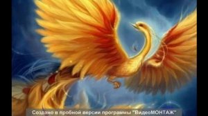 жар птица