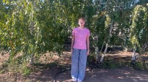 Самохина Маргарита, 12 лет. Н. М. Рубцов "Берёзы"