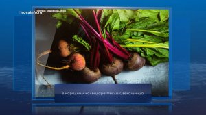 Фекла Свекольница. Календарь Губернии от 1 сентября