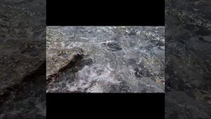 739.Сентябрь на юге, морская терапия продолжается.