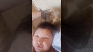 кашатина