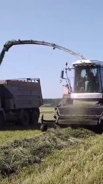 Заготовка зеленой массы на сенаж на комбайне F 2750 смотреть онлайн