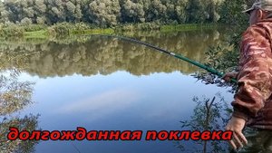 Я все таки его дождался. Ловля ЛЕЩА на Оке. Рыбалка на удочку.