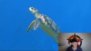 Как нас лишают собственности : Беззвучный передел мира - Часть 3