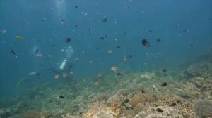 Опасность,хищник,Амазонка😵💫🧟♂️