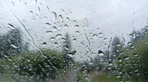 Просто дождь...