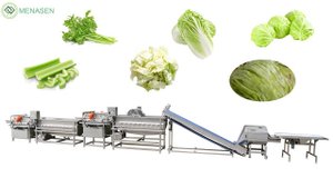 MNS-WL420B Lettuce Vegetable Cutting Cleaning Dewatering Line| Vortex Salad Washing Machine