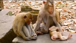 Моменты счастья и покоя в семействе Либби и Лили   1000032128.mp4