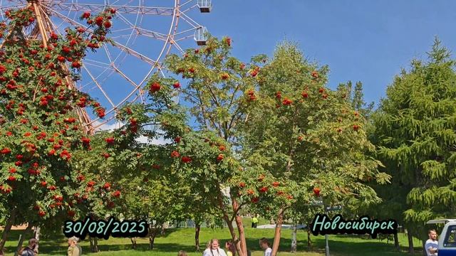 Насыщенная суббота 30 августа смотреть онлайн