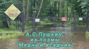 Июльское наводнение в Питере!