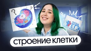 СТРОЕНИЕ КЛЕТКИ ДЛЯ ЕГЭ ПО БИОЛОГИИ 2026💥