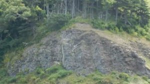 Остров Шикотан, бухта Дельфин