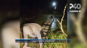 (Рыбинск-40) СЧАСТЛИВОЕ СПАСЕНИЕ