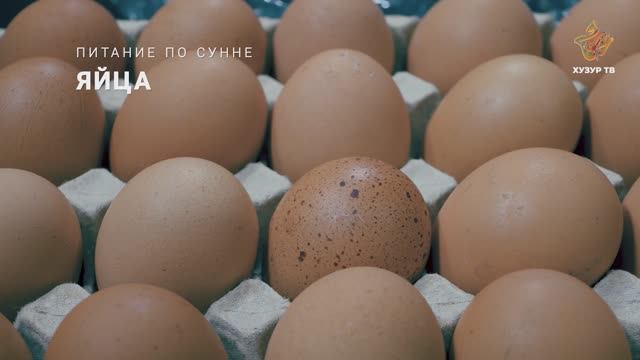Яйца | Питание по сунне