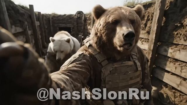 Боевые будни 🇷🇺