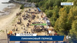 Пикниковый период