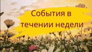 События в течение недели - 30
