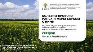 Болезни ярового рапса и меры борьбы с ними