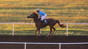 Скаковой день 28 июня. Дистанция 3200 м. Талбан