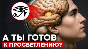 Просветление: ЗА и ПРОТИВ! Нужно ли тебе просветление?