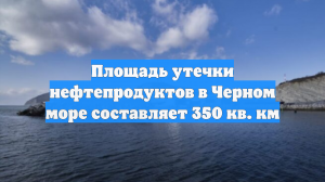 Площадь утечки нефтепродуктов в Черном море составляет 350 кв. км