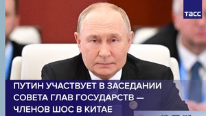Владимир Путин участвует в заседании Совета глав государств — членов ШОС в Китае