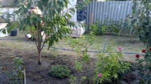 Переехали на Юг/Уборка во дворе.