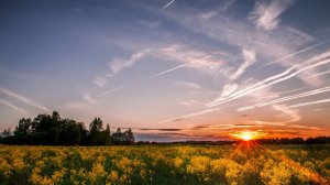 Небом посланная-ст.М.Погореловой,муз и исп.А.Захарова,монтаж В. Зубковой