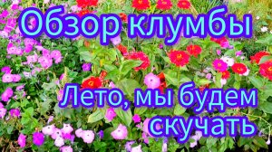 Обзор клумбы 01-09-2025 #лето #осень #цветы #красота природа