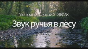 Расслабляющий шум реки в лесу, пение птиц.  Журчание ручья.