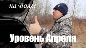 [2025] Вяжем поводки  оснастка двойника  Прогулки по Волге  Нижний Новгород  Апрель 2025