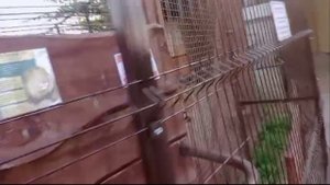 Шархан 4 - 31.08.2025 Видео от Ивана