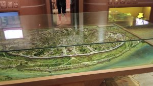 призвал golden cat в чикен ган