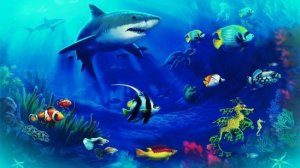 Underwater flight relax 🐠 🐟🪼🐋🪸🦈