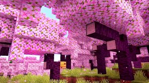 Maйнкрафт|добыл  бетон|в вишневом биоmе часть З