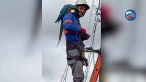 Необычная дружба: дикий ара и электрик на работе