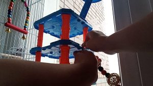 как сделать так что бы чика с вами вместе сидел