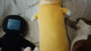 1 сентября(: