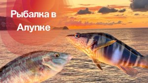 Рыбалка в Алупке. Крым.