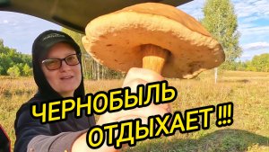 КУПИЛИ ДОМ В ДЕРЕВНЕ | Чернобыль отдыхает | Дом в деревне | Деревенская жизнь