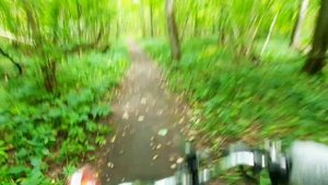 Покатушки на веломопеде в последний день лета. 🤓👍🚴