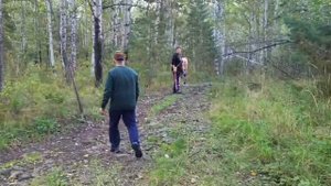 31 августа 2025. Прогулка в лесу горного ущелья.