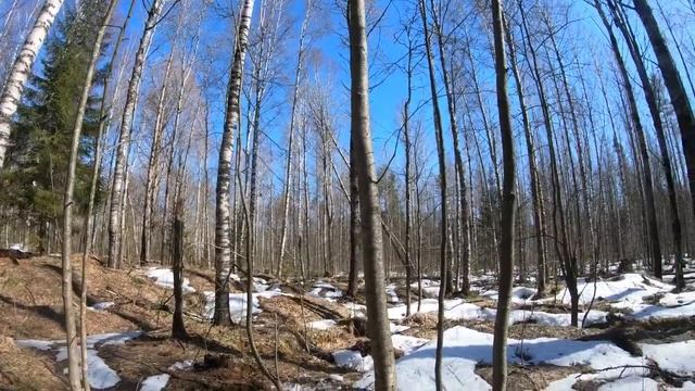 Коп по войне.ПРО КОП.Серия 115. Кокарда сс (1) смотреть онлайн