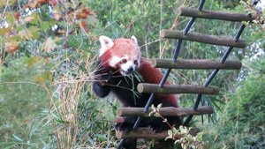 13919192_1920_1080_30fps