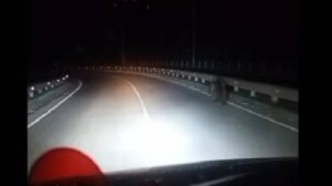 Медвежонок устроил бега на трассе возле и Кисловодска