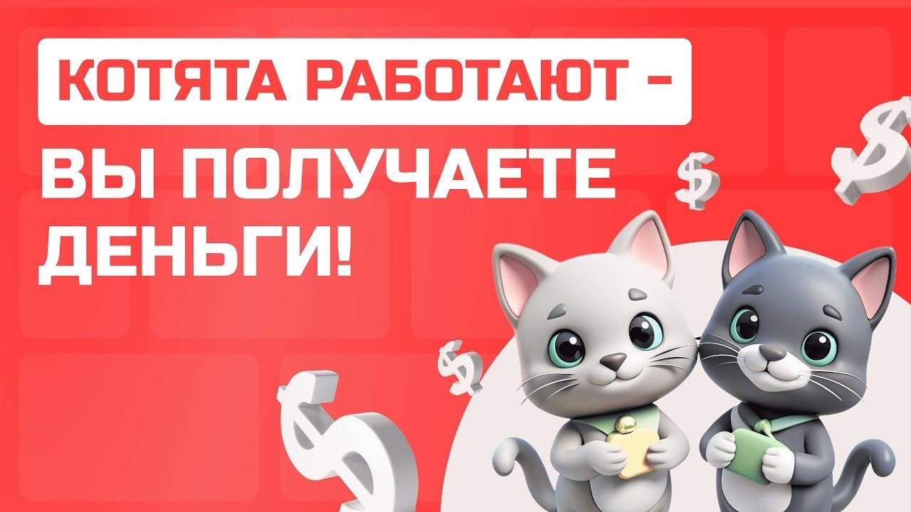 ЗАРАБОТОК НА КОТЯТАХ! Сколько МОЖНО ЗАРАБОТАТЬ, снимая своих питомцев?