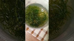 1000008480.mp4 Аквариумные растения.